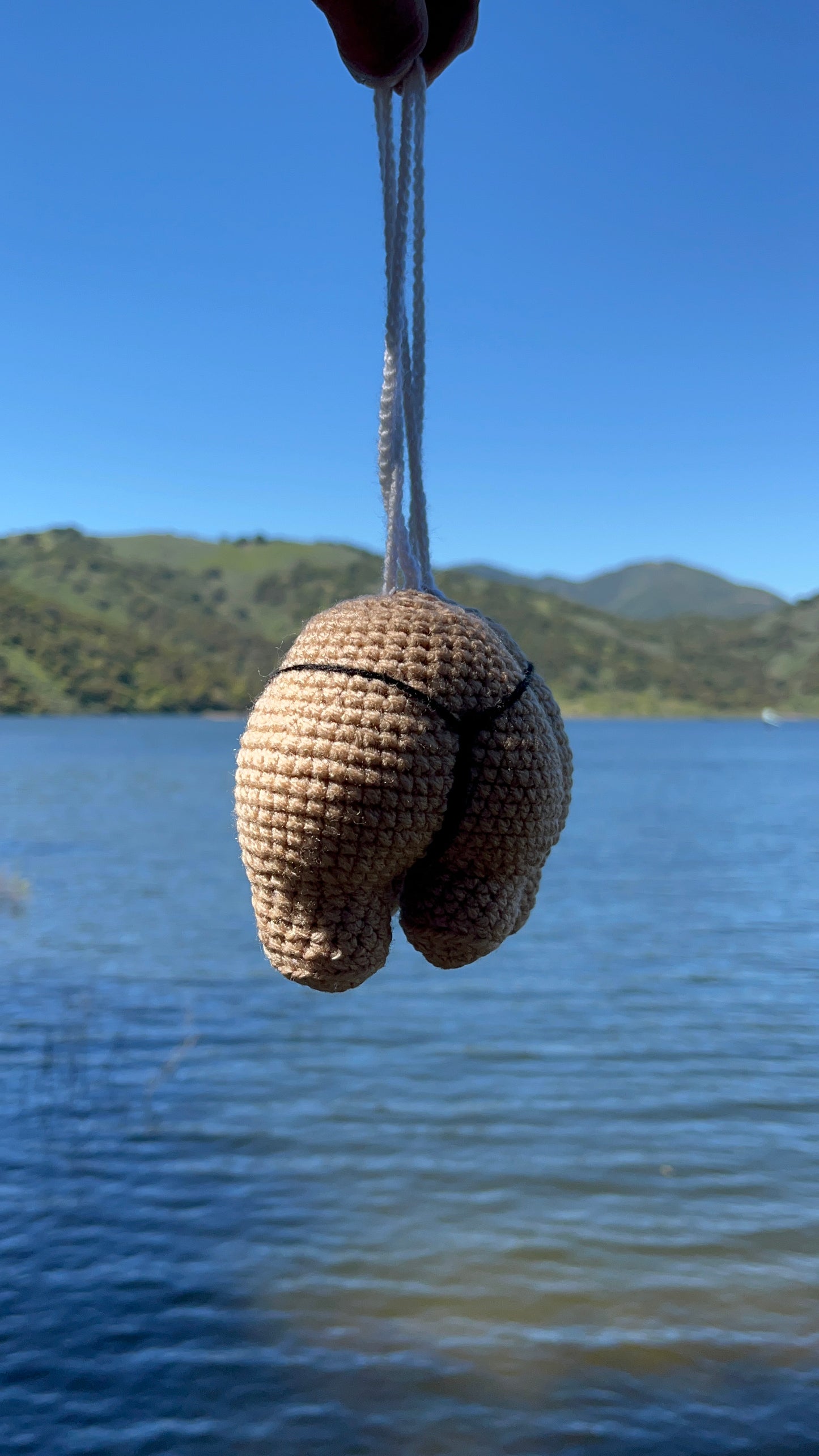 IEATASSWHATSUP CROCHETED CHEEKS