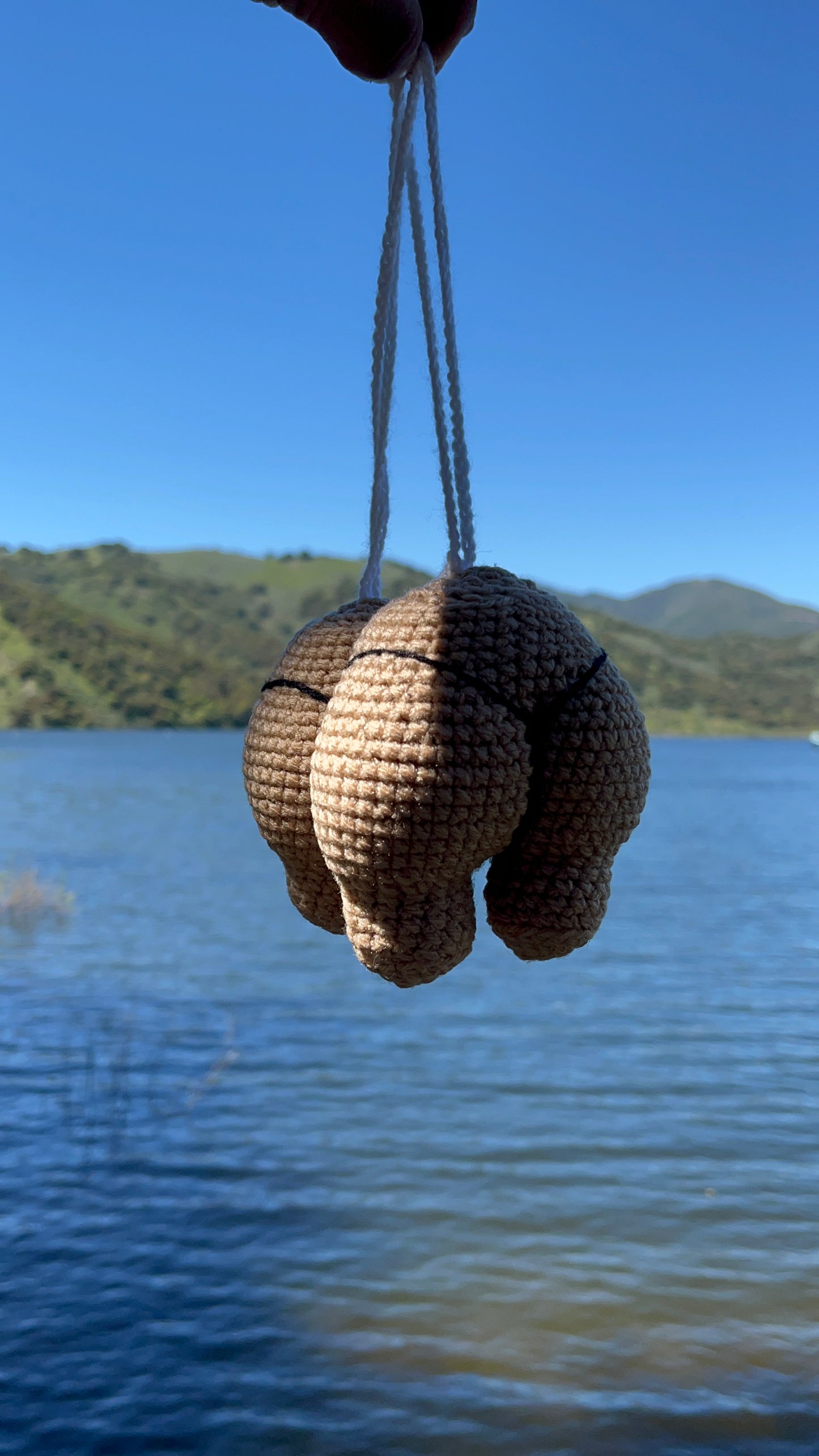 IEATASSWHATSUP CROCHETED CHEEKS