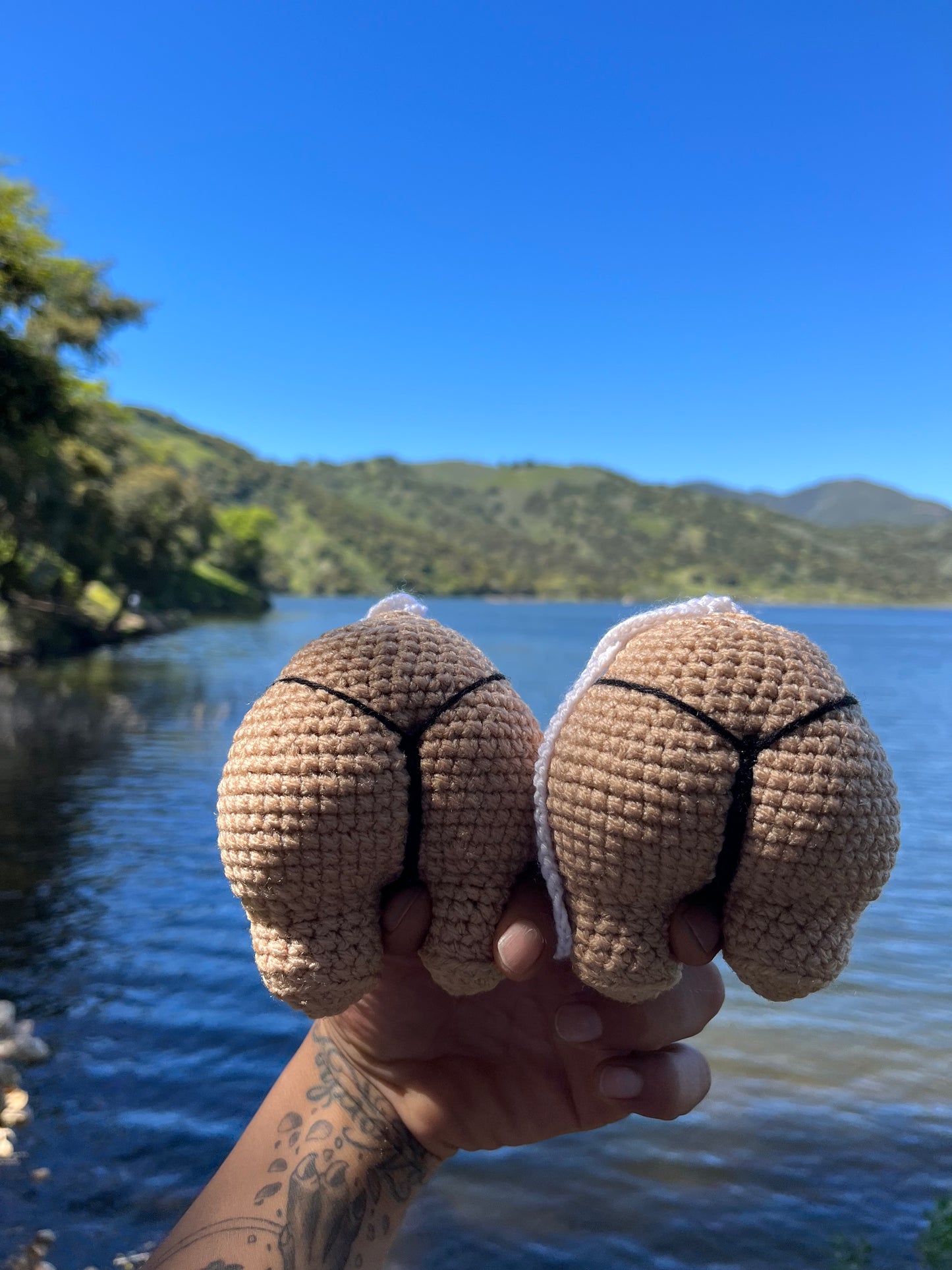 IEATASSWHATSUP CROCHETED CHEEKS
