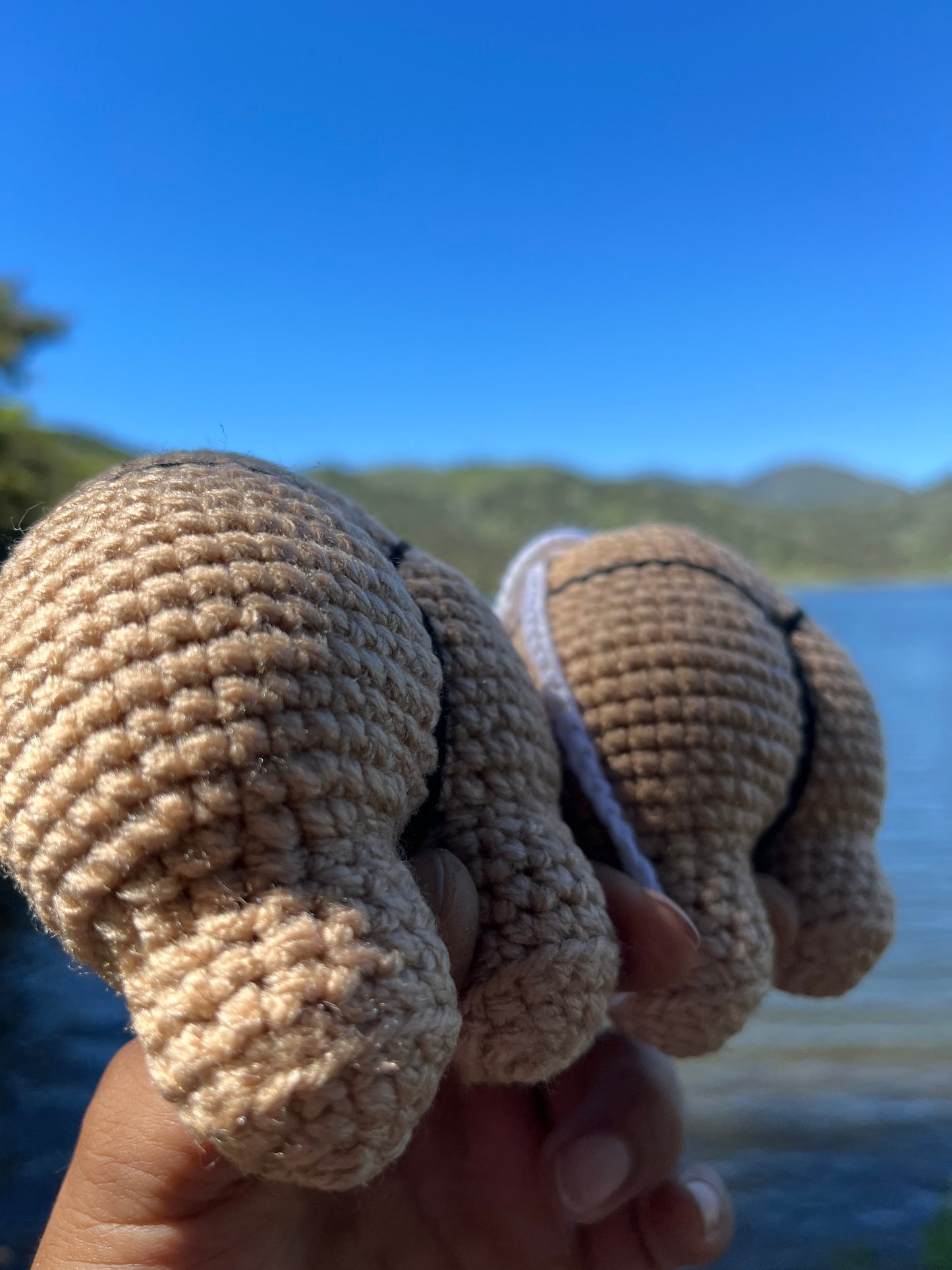 IEATASSWHATSUP CROCHETED CHEEKS